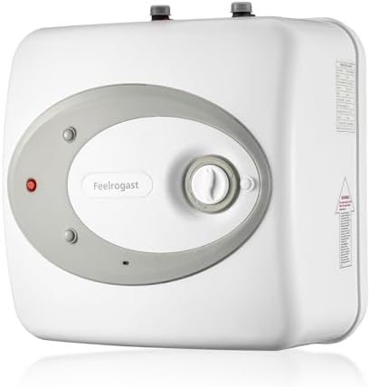 Electric Mini Tank Water Heater-4 Gallon Under Sink Instant Hot Water for RV, Camper, Kitchen, Food Truck, 120V 1500W, Wall or Floor Mounted